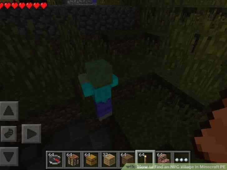 Image intitulé de Trouver un PNJ du Village dans Minecraft PE Étape 12